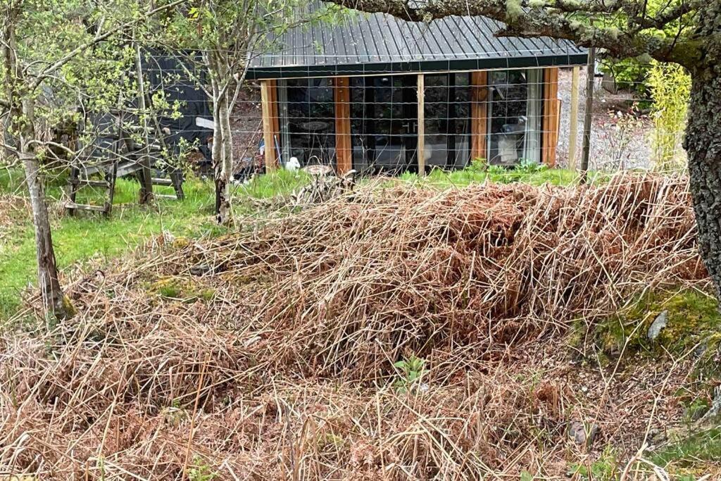 Coorie Doon Cabin! Great Scottish Welcome Fort Augustus Exteriör bild