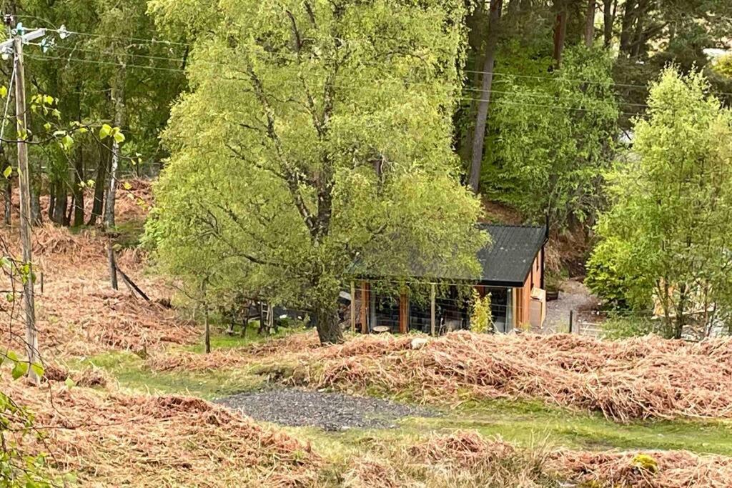 Coorie Doon Cabin! Great Scottish Welcome Fort Augustus Exteriör bild